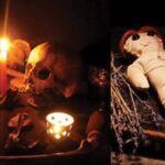 tcn_11507332-seivinai