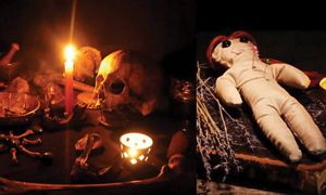 tcn_11507332-seivinai