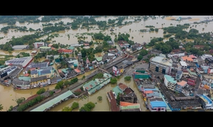 image1170x530cropped (1)