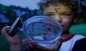 catching-fireflies