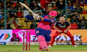 cricket