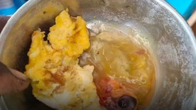 Egg