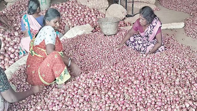 tcn_onion