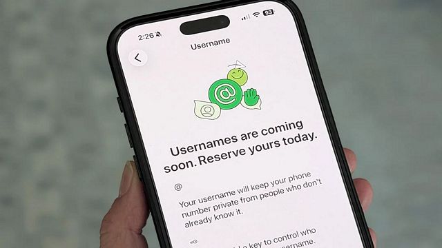 whatsapp_username